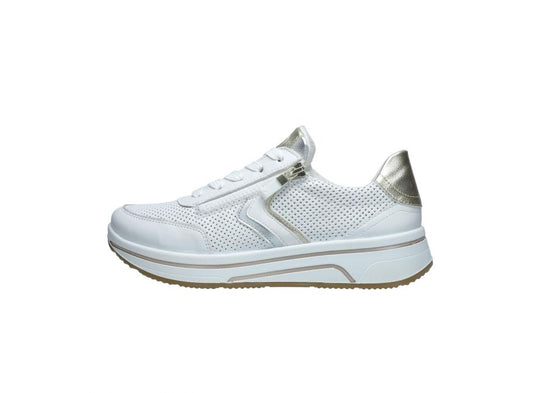 27550 ARA 26 SAPPORO H FITTING