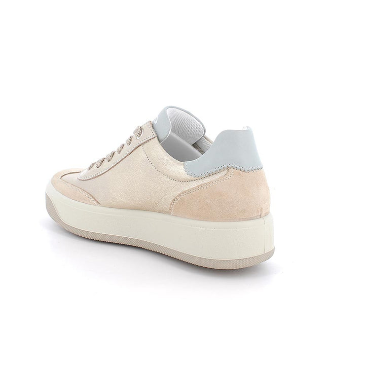 1144622 IGI&CO SHOES 26