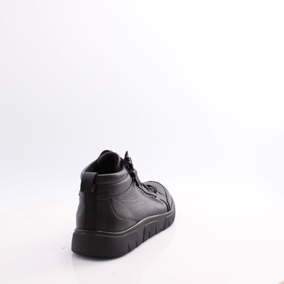 24453 ROM SPORT ARA 25