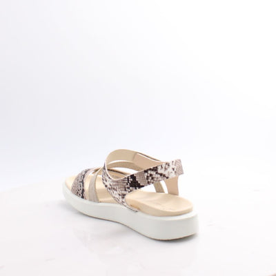 273713 FLOW T ECCO 25