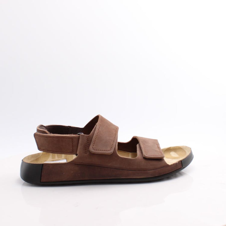 02482 COCOA BROWN