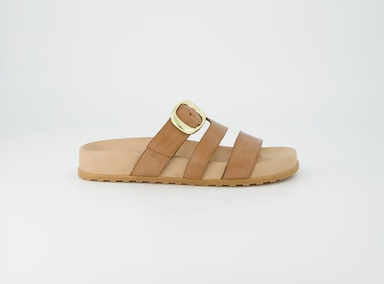 091 BROWN-SAHARA