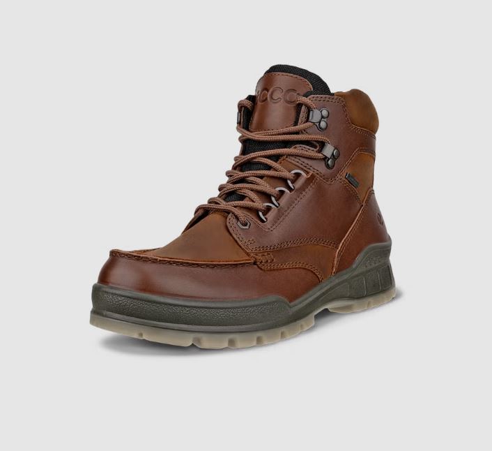 831704 ECCO TRACK 26 BOOT