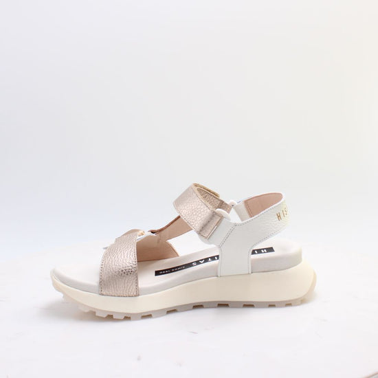 CHV264807 AMBAR HISPANITAS