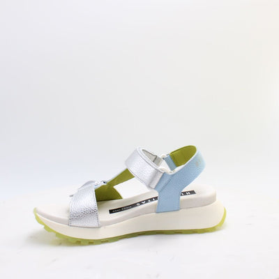 CHV264807 AMBAR HISPANITAS