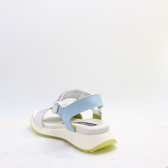 CHV264807 AMBAR HISPANITAS