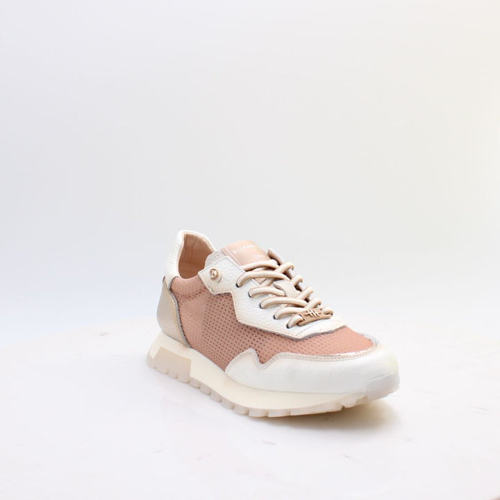 CHV264825 OREGON HISPANITAS