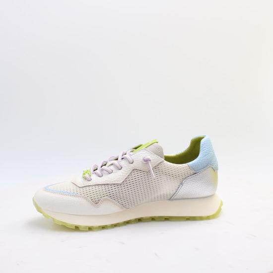 CHV264825 OREGON HISPANITAS