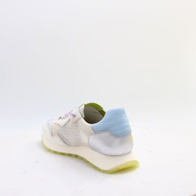 CHV264825 OREGON HISPANITAS