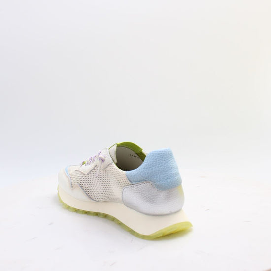 CHV264825 OREGON HISPANITAS