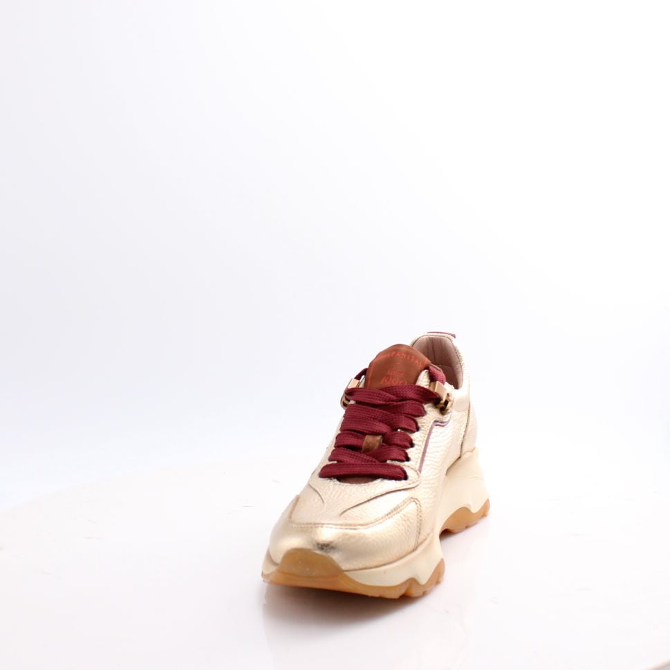 HI254375 NEPAL HISPANITAS