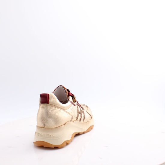 HI254375 NEPAL HISPANITAS