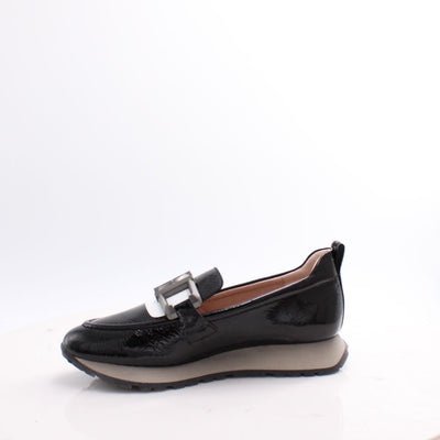 HI254386 KANSAS HISPANITAS