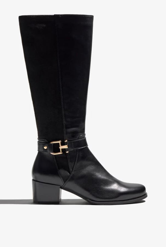 JOLENE-35 REGARDE LE CIEL