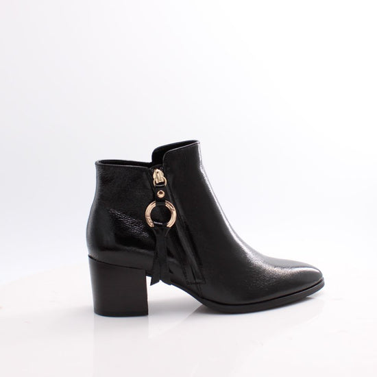 TAYLOR-01 REGARDE LE CIEL